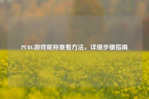 PUBG游戏昵称查看方法，详细步骤指南