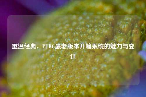 重温经典，PUBG最老版本开箱系统的魅力与变迁