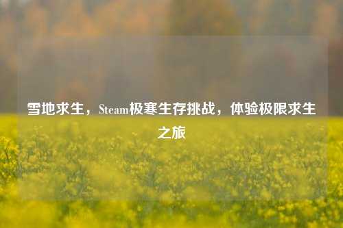 雪地求生，Steam极寒生存挑战，体验极限求生之旅