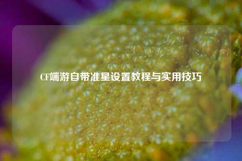 CF端游自带准星设置教程与实用技巧