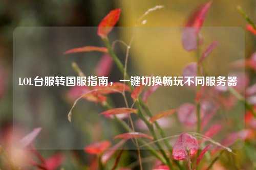 LOL台服转国服指南，一键切换畅玩不同服务器