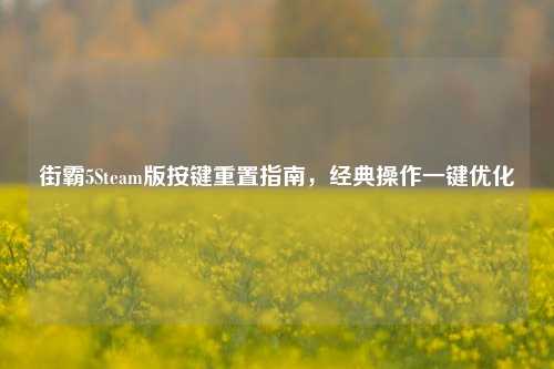 街霸5Steam版按键重置指南，经典操作一键优化