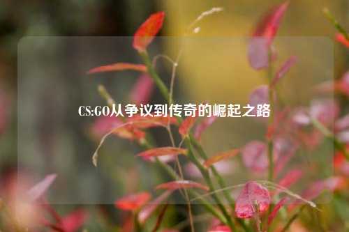 CS:GO从争议到传奇的崛起之路
