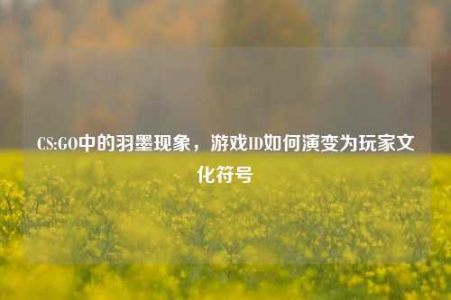 CS:GO中的羽墨现象，游戏ID如何演变为玩家文化符号