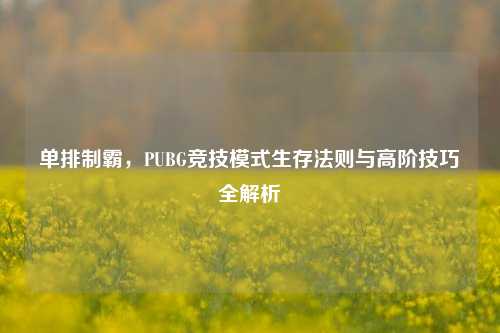 单排制霸，PUBG竞技模式生存法则与高阶技巧全解析