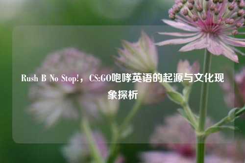 Rush B No Stop!，CS:GO咆哮英语的起源与文化现象探析