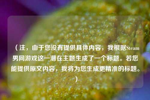 （注，由于您没有提供具体内容，我根据Steam男同游戏这一潜在主题生成了一个标题。若您能提供原文内容，我将为您生成更精准的标题。）