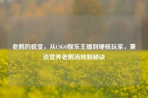老鹅的蜕变，从CSGO娱乐主播到硬核玩家，兼谈营养老鹅汤炖制秘诀