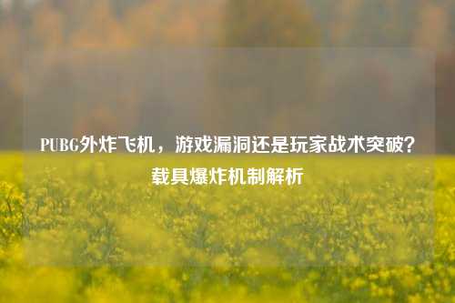 PUBG外炸飞机，游戏漏洞还是玩家战术突破？载具爆炸机制解析