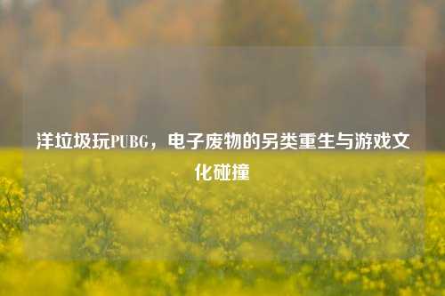洋垃圾玩PUBG，电子废物的另类重生与游戏文化碰撞