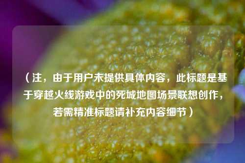 （注，由于用户未提供具体内容，此标题是基于穿越火线游戏中的死城地图场景联想创作，若需精准标题请补充内容细节）