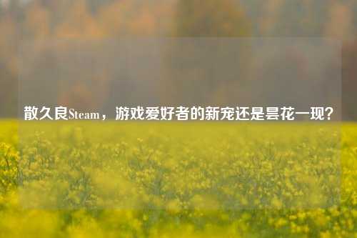 散久良Steam，游戏爱好者的新宠还是昙花一现？