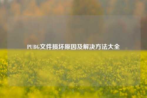 PUBG文件损坏原因及解决方法大全