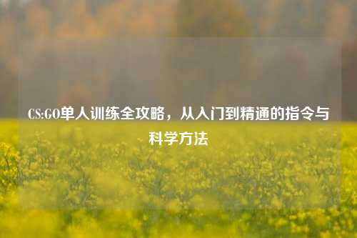 CS:GO单人训练全攻略，从入门到精通的指令与科学方法