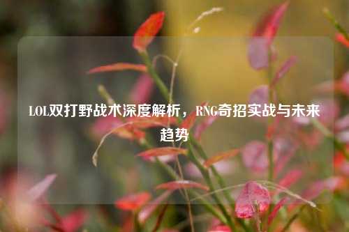 LOL双打野战术深度解析，RNG奇招实战与未来趋势