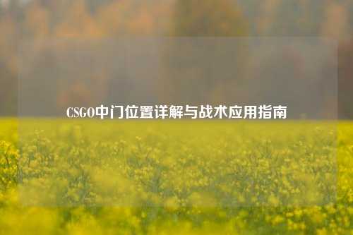 CSGO中门位置详解与战术应用指南