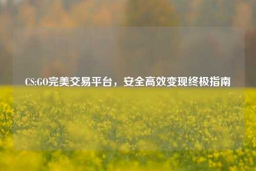 CS:GO完美交易平台，安全高效变现终极指南
