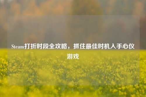 Steam打折时段全攻略，抓住最佳时机入手心仪游戏