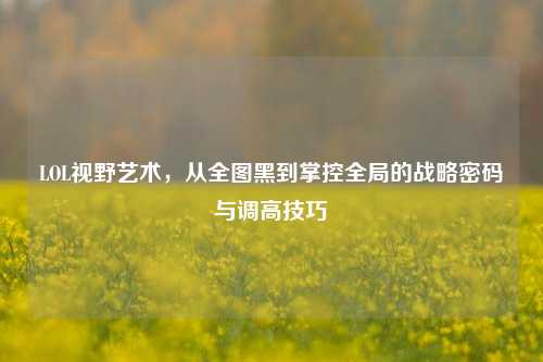 LOL视野艺术，从全图黑到掌控全局的战略密码与调高技巧