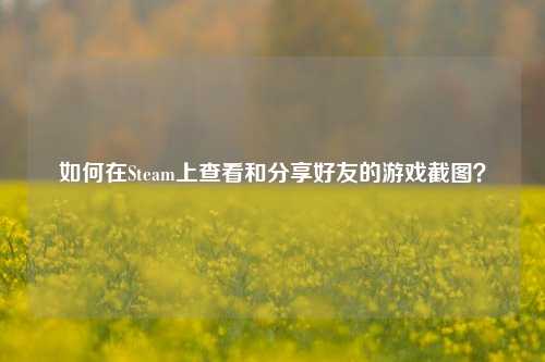 如何在Steam上查看和分享好友的游戏截图？