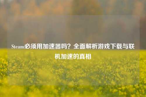 Steam必须用加速器吗？全面解析游戏下载与联机加速的真相