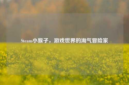 Steam小猴子，游戏世界的淘气冒险家