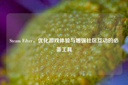 Steam Filter，优化游戏体验与增强社区互动的必备工具