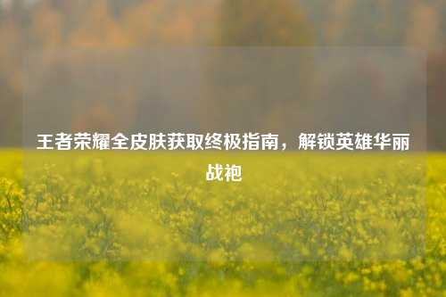 王者荣耀全皮肤获取终极指南，解锁英雄华丽战袍