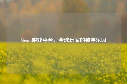 Steam游戏平台，全球玩家的数字乐园