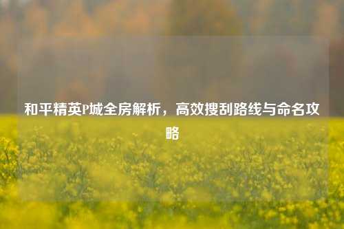 和平精英P城全房解析，高效搜刮路线与命名攻略