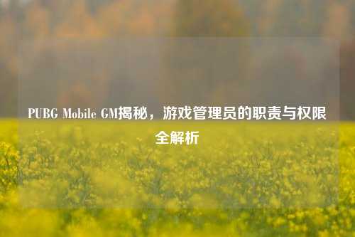 PUBG Mobile GM揭秘，游戏管理员的职责与权限全解析