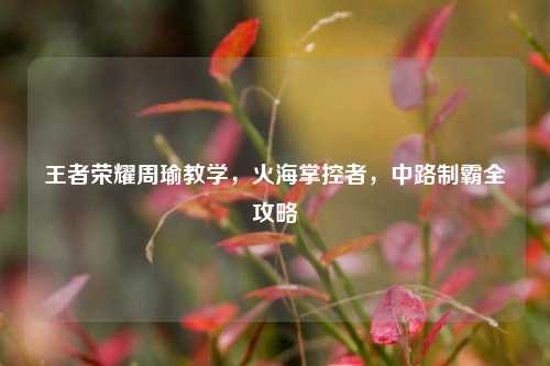 王者荣耀周瑜教学，火海掌控者，中路制霸全攻略