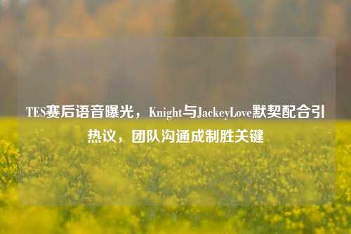 TES赛后语音曝光，Knight与JackeyLove默契配合引热议，团队沟通成制胜关键