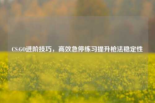 CS:GO进阶技巧，高效急停练习提升枪法稳定性