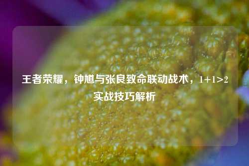 王者荣耀，钟馗与张良致命联动战术，1+1>2实战技巧解析