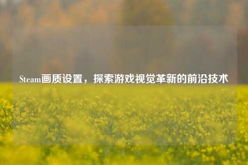 Steam画质设置，探索游戏视觉革新的前沿技术