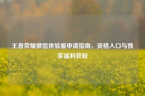 王者荣耀微信体验服申请指南，资格入口与独家福利获取