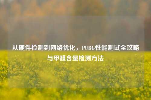 从硬件检测到网络优化，PUBG性能测试全攻略与甲醛含量检测方法