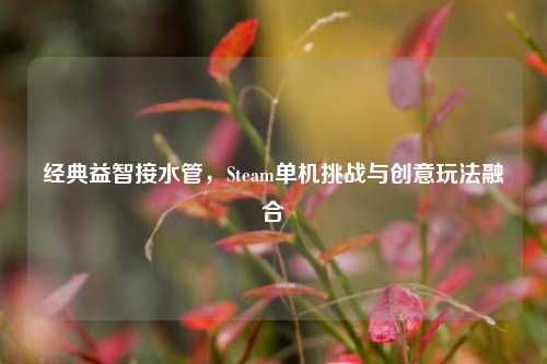经典益智接水管，Steam单机挑战与创意玩法融合
