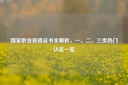 国家职业资格证书全解析，一、二、三类热门认证一览