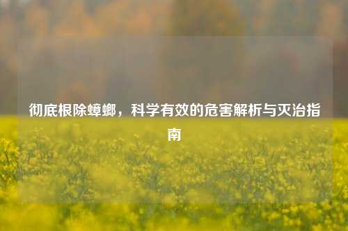 彻底根除蟑螂，科学有效的危害解析与灭治指南