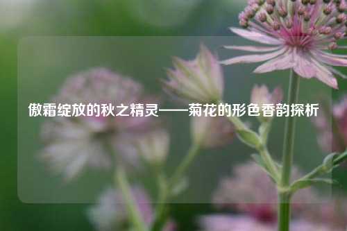 傲霜绽放的秋之精灵——菊花的形色香韵探析