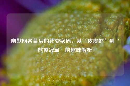 幽默网名背后的社交密码，从‘皮皮虾’到‘熬夜冠军’的趣味解析
