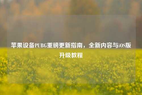 苹果设备PUBG重磅更新指南，全新内容与iOS版升级教程