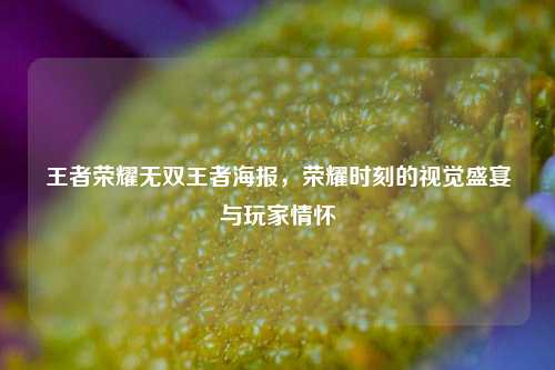 王者荣耀无双王者海报，荣耀时刻的视觉盛宴与玩家情怀