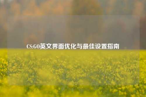CS:GO英文界面优化与最佳设置指南