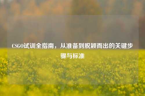 CSGO试训全指南，从准备到脱颖而出的关键步骤与标准