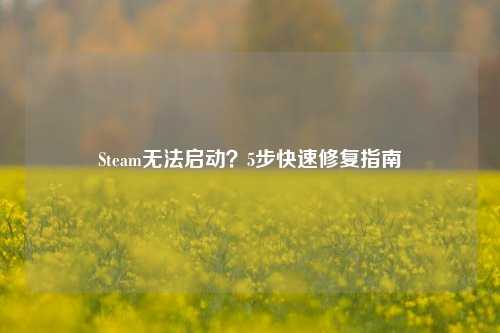 Steam无法启动？5步快速修复指南