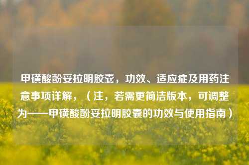 甲磺酸酚妥拉明胶囊，功效、适应症及用药注意事项详解，（注，若需更简洁版本，可调整为——甲磺酸酚妥拉明胶囊的功效与使用指南）