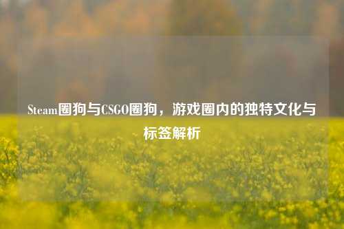 Steam圈狗与CSGO圈狗，游戏圈内的独特文化与标签解析